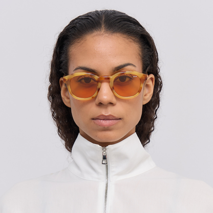 Suede Solbriller, Havana Forever