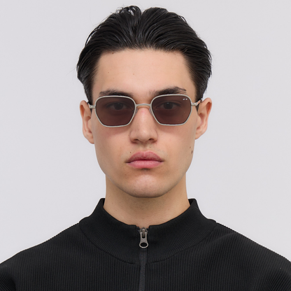 Decent Solbriller, Shiny Silver