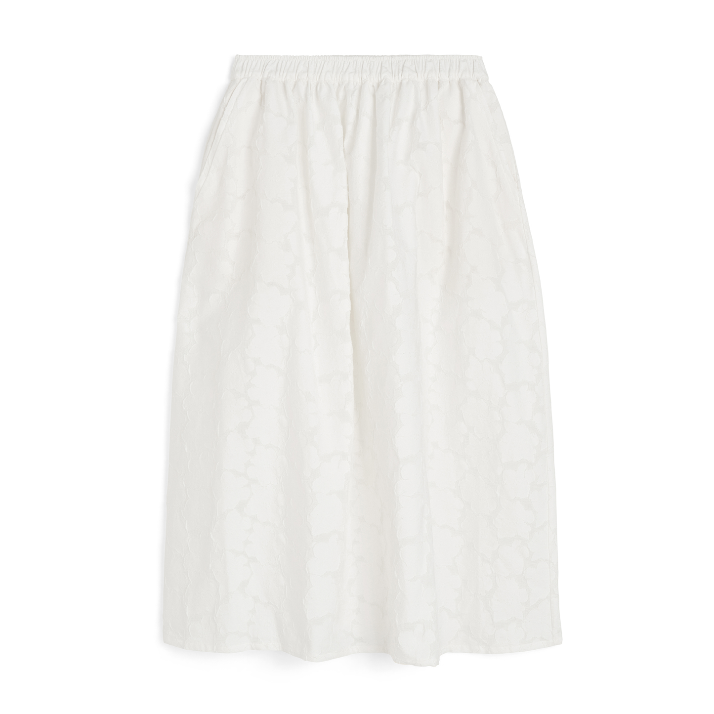 Skirt Laceflower, White