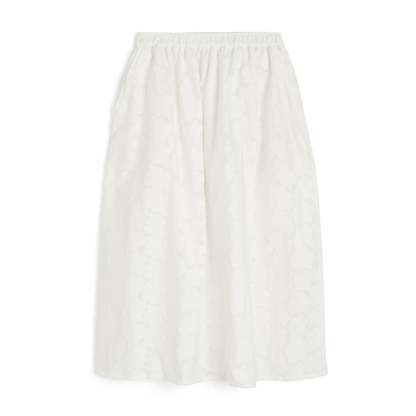 Skirt Laceflower, White
