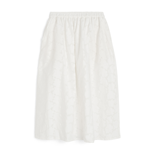 Skirt Laceflower, White