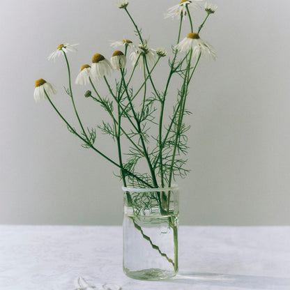 Peter Small Glass, White