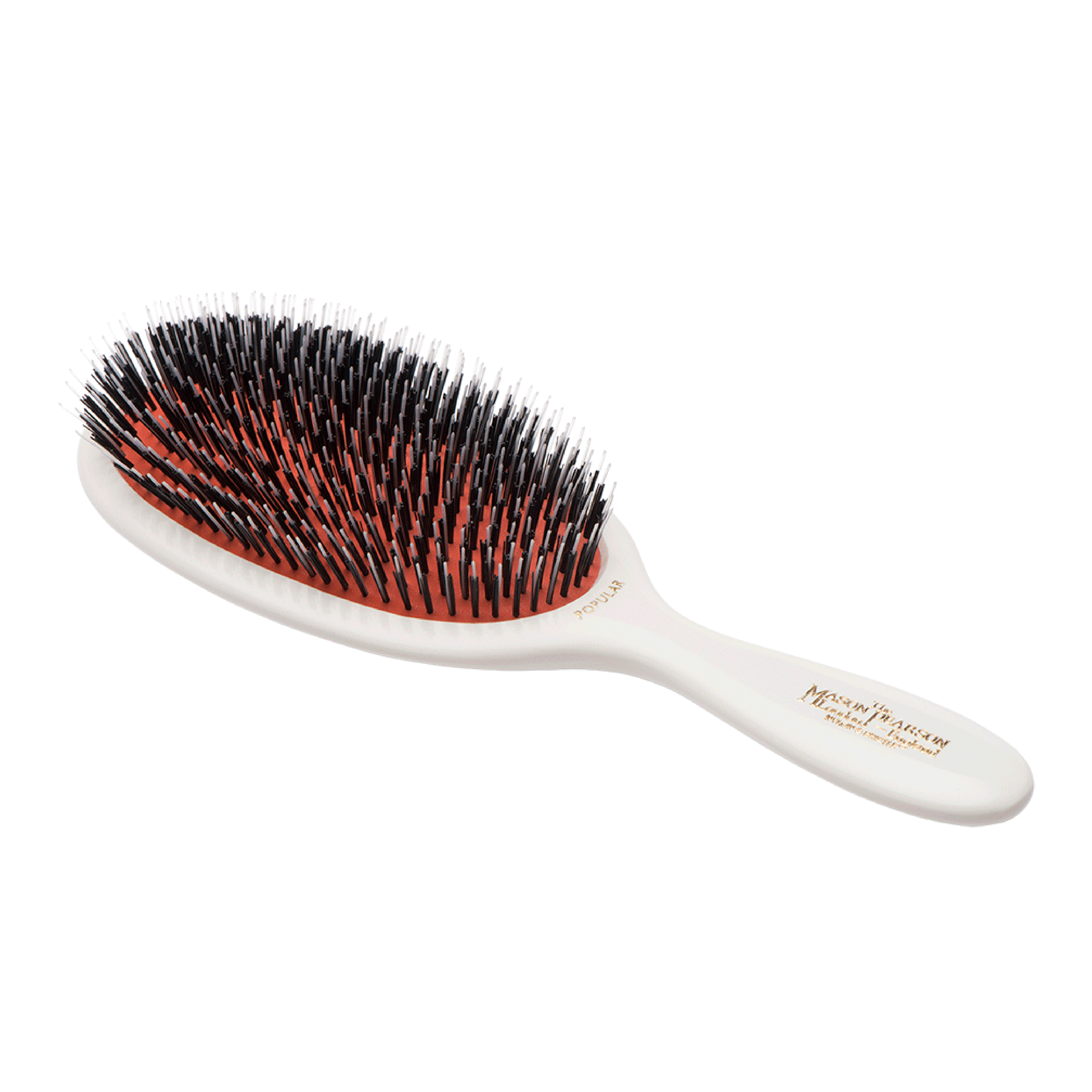 BN1, Popular Bristle & Nylon