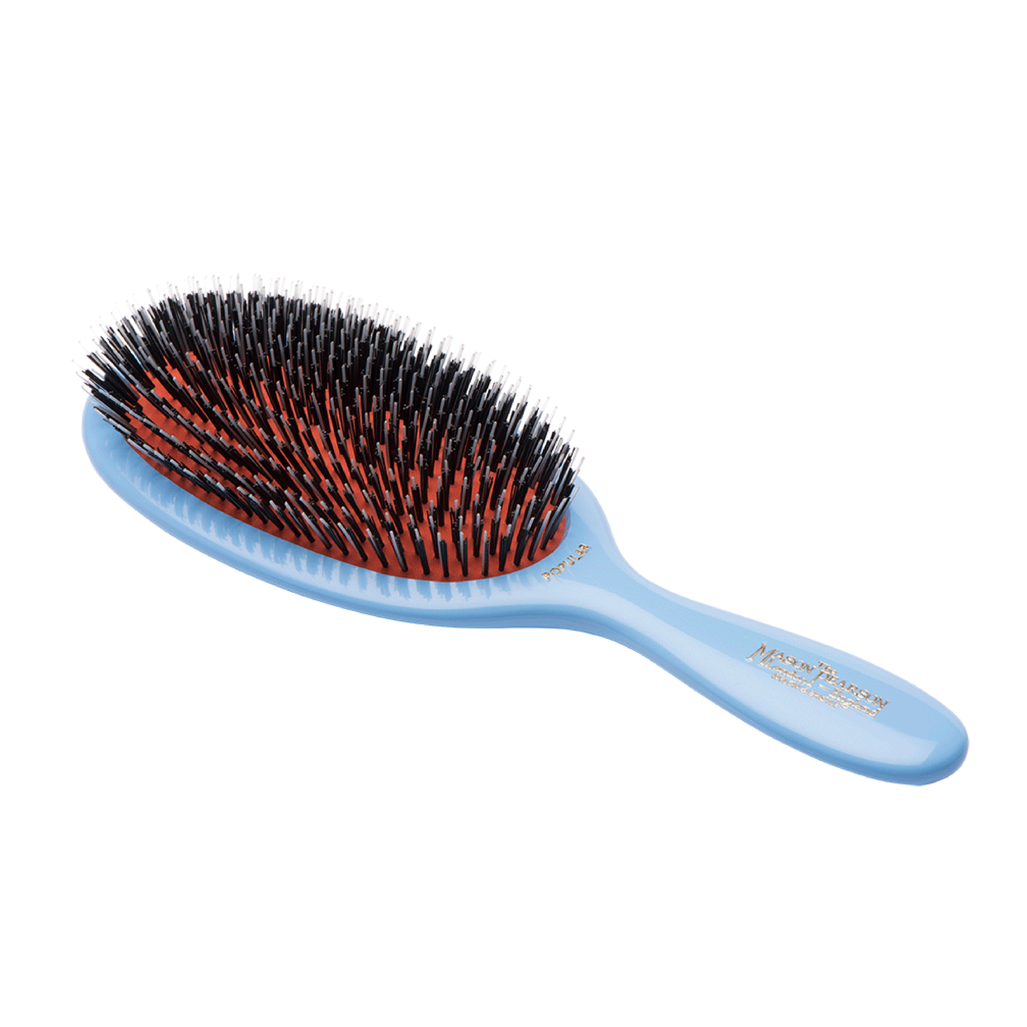 BN1, Popular Bristle & Nylon