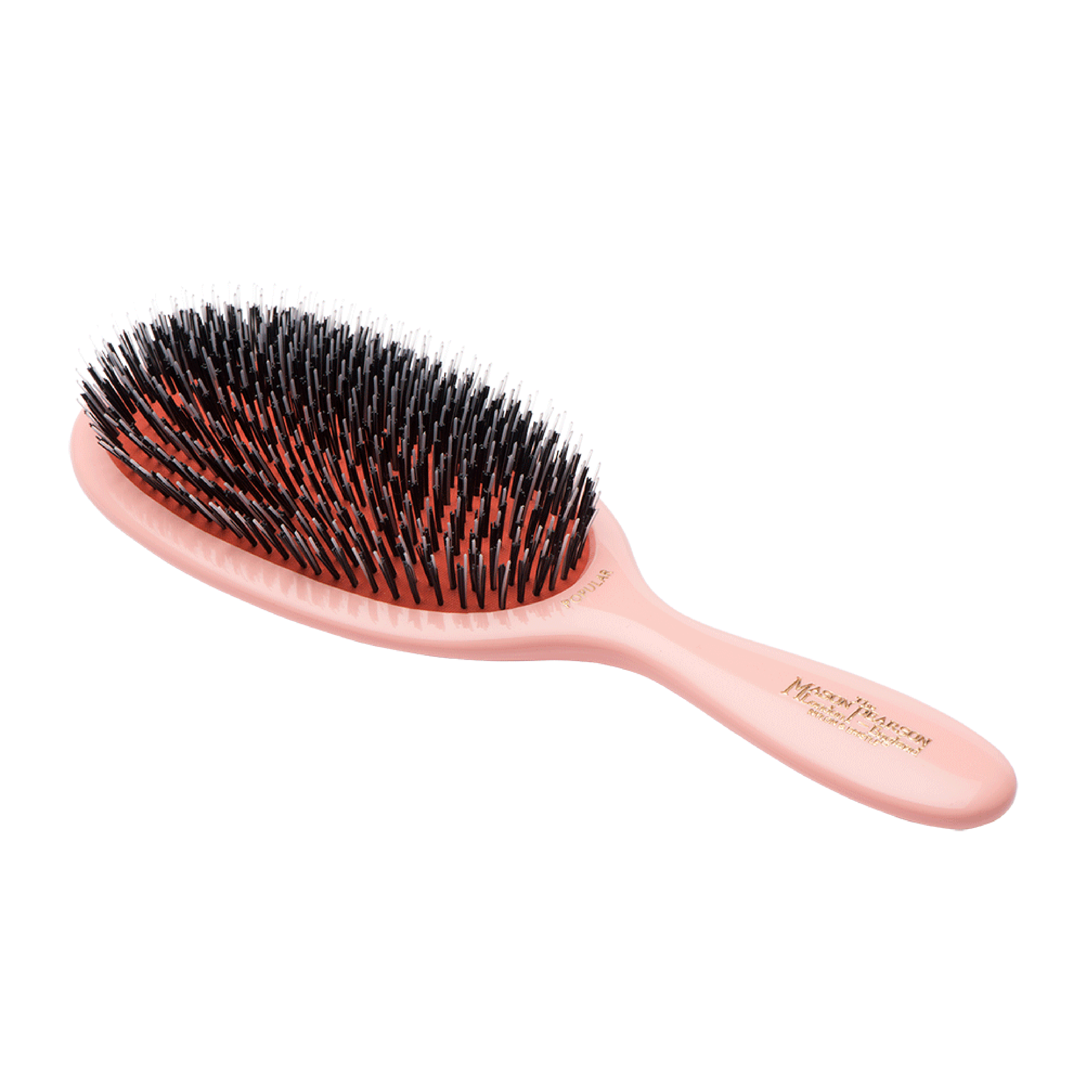 BN1, Popular Bristle & Nylon