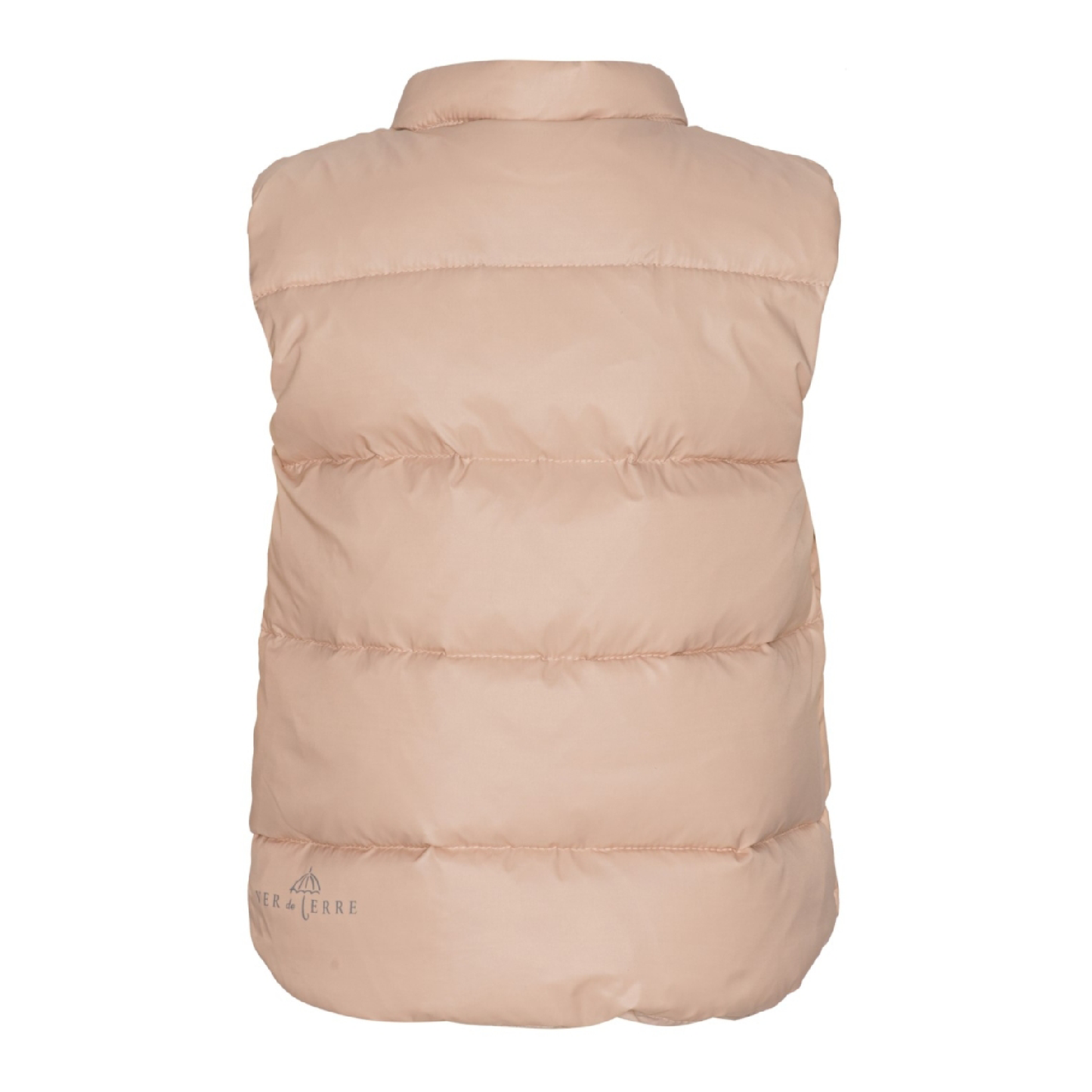 Dunvest Baby, Mahogany Rose